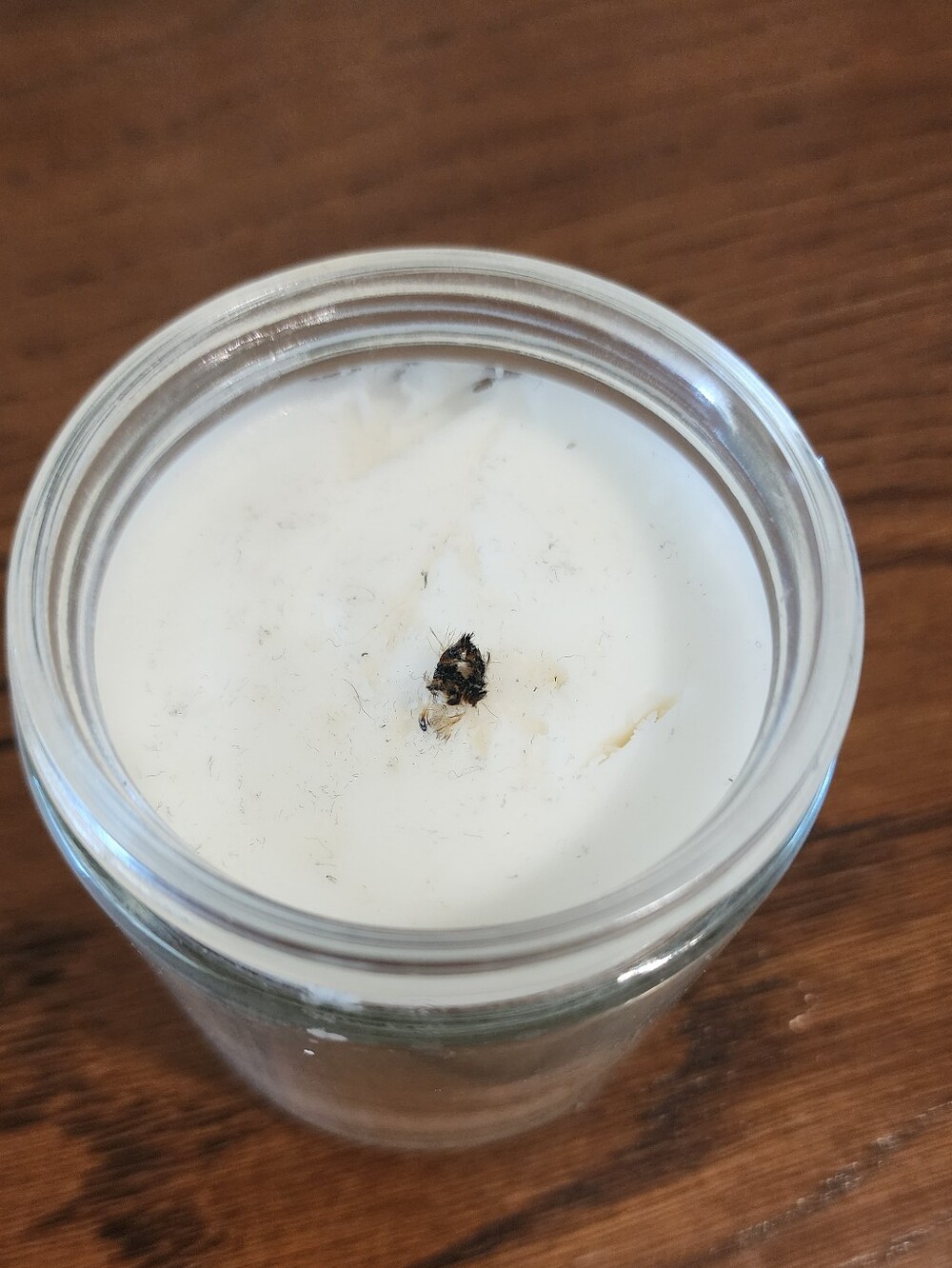 White Barn Lavender Vanilla Single Wick Candle - Picture 2 of 2